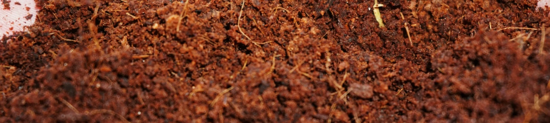 coco peats in coimbatore