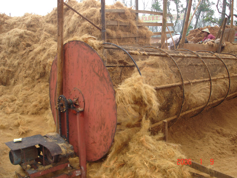 Coco Peat Briquettes india