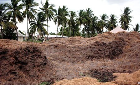 Coir Pith Block in India