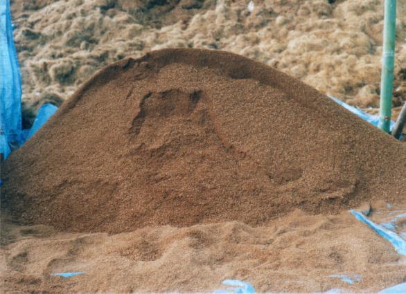 Coco Peat Briquettes